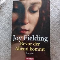 Bevor der Abend kommt/Joy Fielding Nordrhein-Westfalen - Bedburg-Hau Vorschau