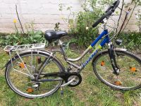 Damen Fahrrad 28 zoll Berlin - Spandau Vorschau