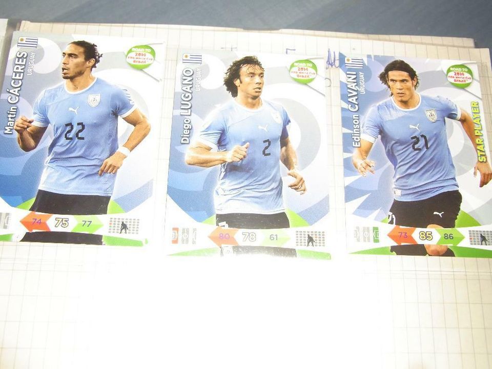 Road to FIFA World Cup Brazil 2014 - Adrenalin XL von Panini in Bremen