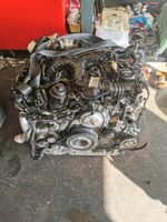 Motor Audi Q7 Q8 A8 A7 3.0 TDI DHX DHXA 286PS komplett Sachsen - Torgau Vorschau