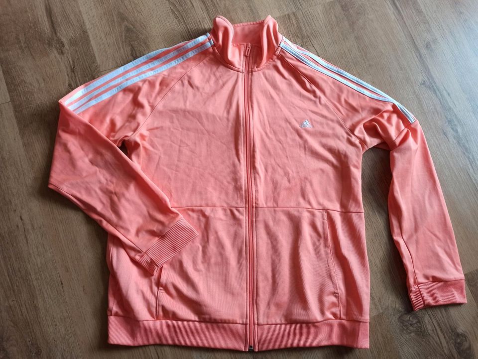 Adidas Jacke XL in Panketal