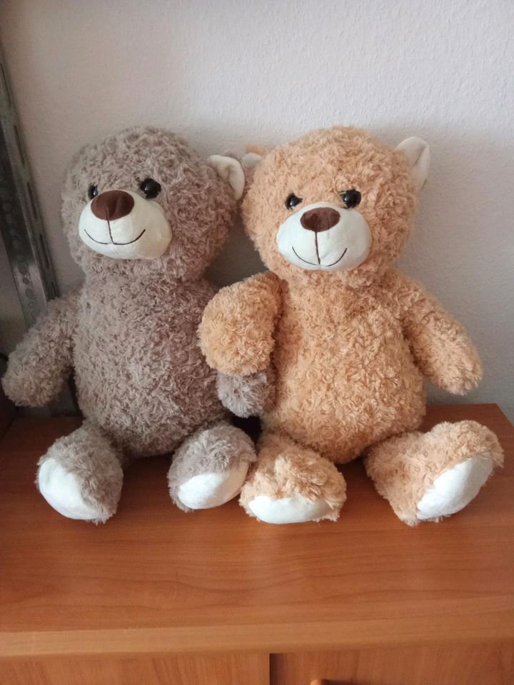 Kuscheltiere Teddy groß in Chemnitz