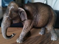 Schleich Elefant Nordrhein-Westfalen - Warburg Vorschau