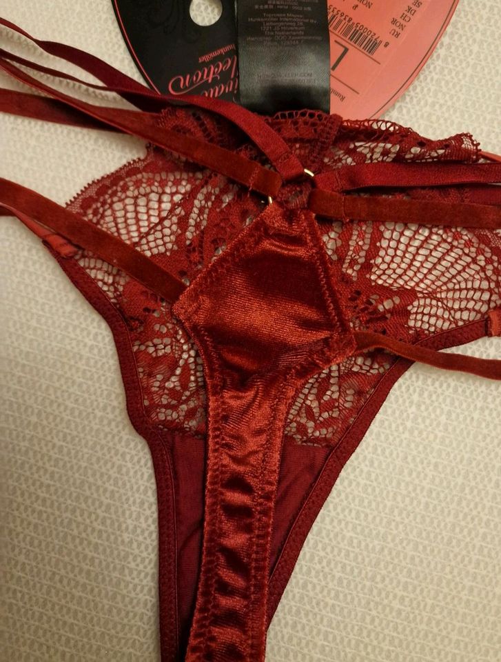 Tanga string L bordeux neu mit etikett hunkemöller in Köln