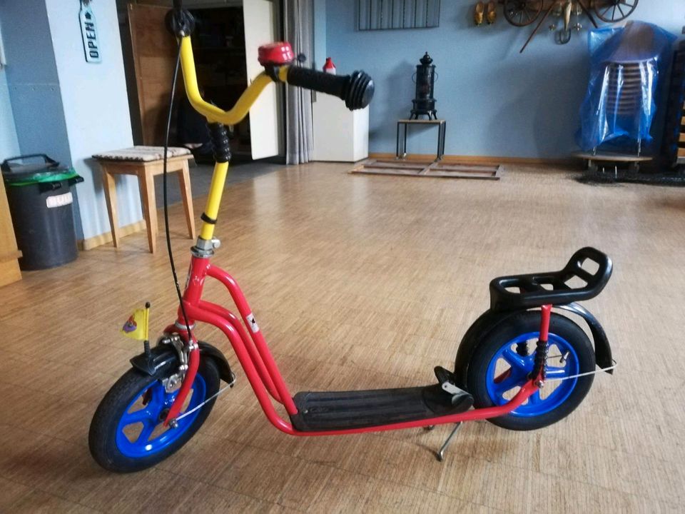 Kinder Roller in Schwörstadt