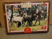 Puzzle 200 Teile Pferdemotiv von Spieleburg OVP Nordrhein-Westfalen - Salzkotten Vorschau