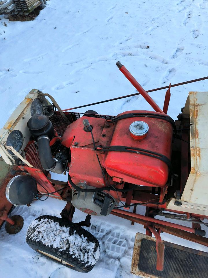 Gutbrod 1017 Kleintraktor Schneeschild in Thurnau