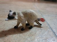 NEU Schleich Waschbär Brandenburg - Schöneiche bei Berlin Vorschau