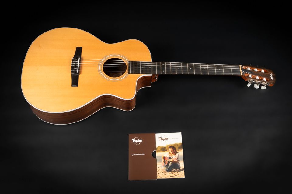 2021 Taylor 214ce-N | Crossover Konzertgitarre Nylon Pickup Cut in Niebüll