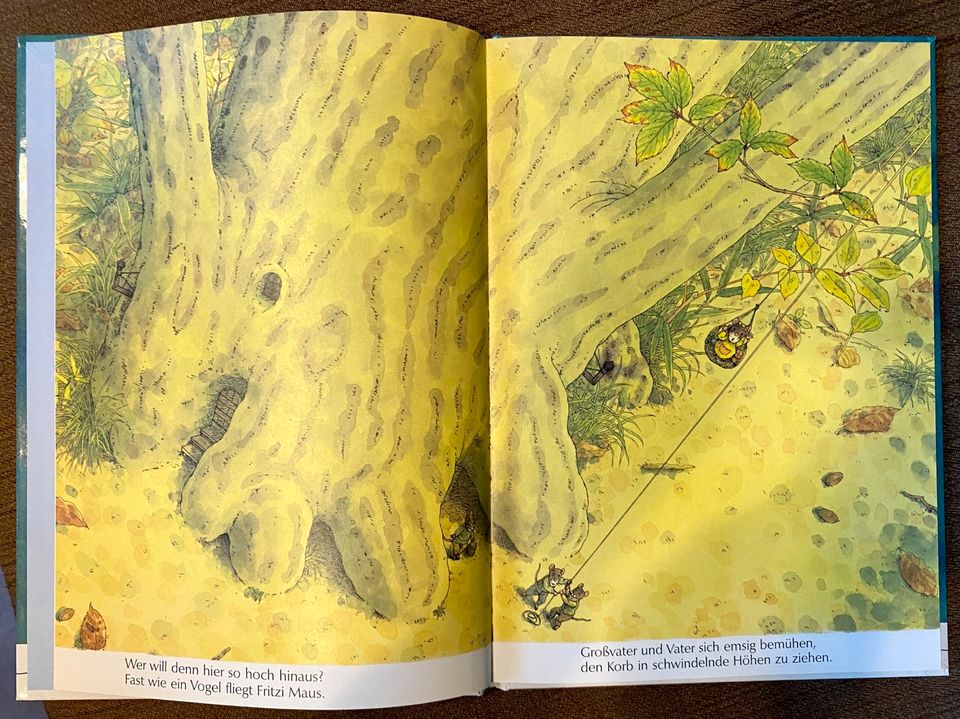 Vierzehn Mäuse und der Mond, Bilderbuch, Kazuo Iwamura in Kronberg im Taunus