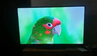 Smart TV ultraflacher Bildschirm 4K LED 55pus6 Nordrhein-Westfalen - Kerpen Vorschau