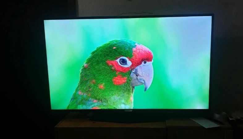 Smart TV ultraflacher Bildschirm 4K LED 55pus6 in Kerpen