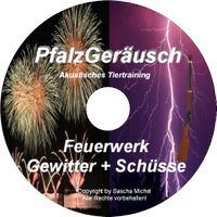 Geräusche Silvester Feuerwerk Gewitter Schüsse Hunde Welpen Rheinland-Pfalz - Zweibrücken Vorschau