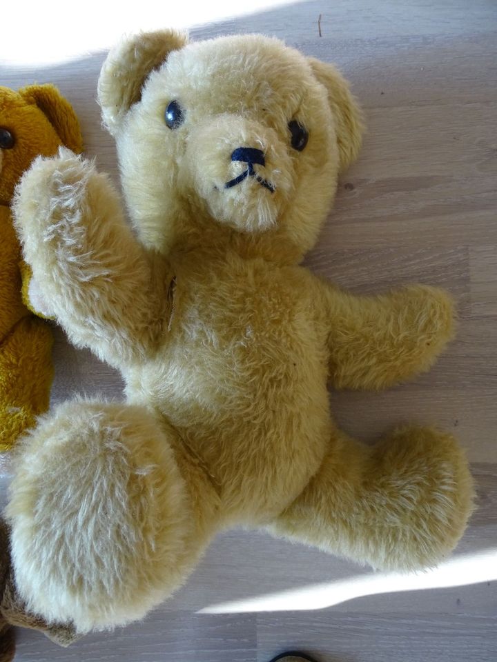 3 alte Teddybären in Reichenbach an der Fils