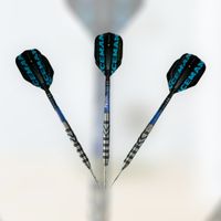 RED DRAGON GERWYN PRICE STEEL-DARTS Bayern - Kissing Vorschau