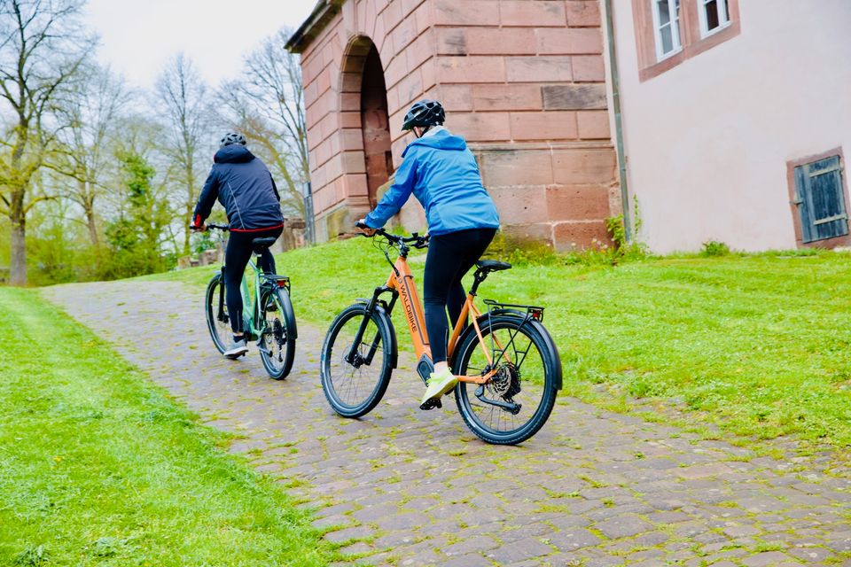 E-Bike/ Waldbike E-CITY / E-TREKKING SORBUS/ lizard green in Lünen