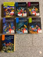 Fünf-Freunde-Bücher in top Zustand 7 Stück Nordrhein-Westfalen - Paderborn Vorschau