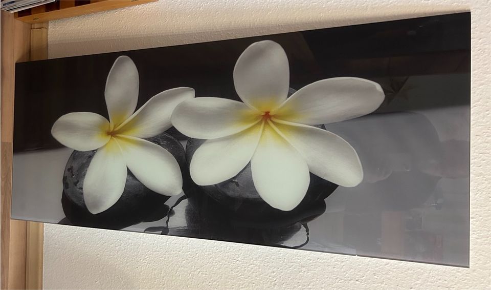 Glasbild, Wandbild, Frangipani 125cm x 50cm in Bernau