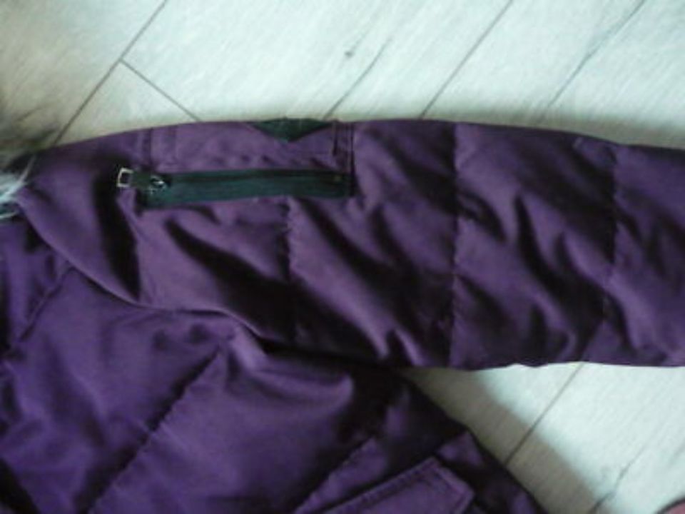 Hollister Daunenjacke Gr. M aubergine neuwertig in Mülheim (Ruhr)