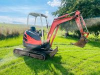 Minibagger Kubota Kettenbagger Bagger Baden-Württemberg - Obersulm Vorschau