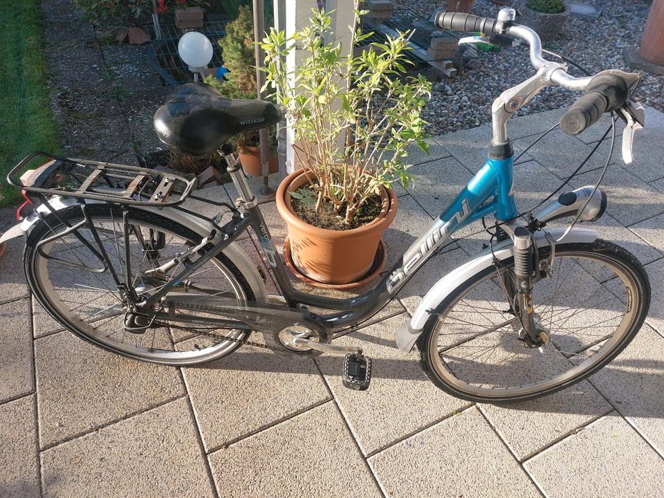 Damen Fahrrad 26 Zoll in Mutterstadt