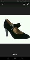 Gabor Pumps, Gr. 6,5 Baden-Württemberg - Birenbach Vorschau