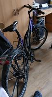 Fahrrad zu Verkaufen Leipzig - Knautkleeberg-Knauthain Vorschau