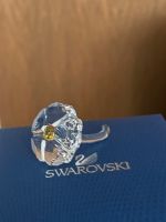 Swarovski Figurine 2017 SCS Joining/Renewal Gift Wild Flower 5244 Niedersachsen - Salzgitter Vorschau