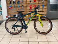 Bulls Pulsar MTB Hardtail 26" 37cm Rheinland-Pfalz - Zell (Mosel) Vorschau