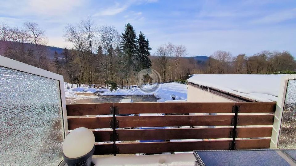 SKI und RODELSPASS in Winterberg/Willingen - romantisches Ferienappartement mit Kamin - (IP 1 PP 22) in Medebach