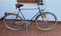 Retro-Vintage Edelstahl Fahrrad 28 Zoll Niedersachsen - Delmenhorst Vorschau