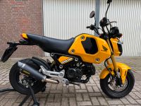 Honda MSX Grom 125 JC92 B196 no Dachs Monkey Top Zustand Wandsbek - Hamburg Marienthal Vorschau