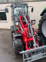 Weidemann 1280 Hoflader Hoftrac NEU Radlader Rheinland-Pfalz - Fehl-Ritzhausen Vorschau