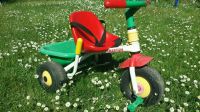 Dreirad Roller für Alter 1-5 Jahre Spielzeug Leipzig - Kleinzschocher Vorschau