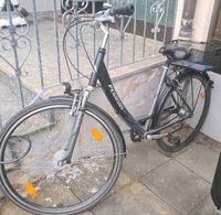 Damen Fahrrad Pegasus Baden-Württemberg - Bad Wurzach Vorschau