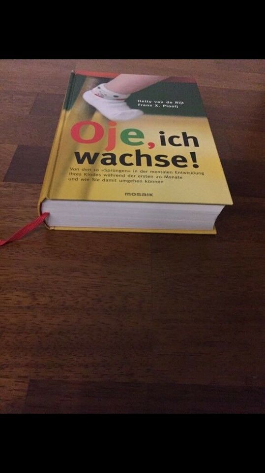 Das Mami Buch von Katja Kessler & Oje, ich wachse in Aachen