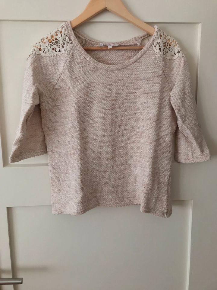 H&M Damen Pullover Longsleeve Spitze Cury M L in Georgenthal