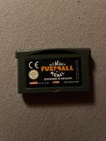 Die wilden Kerle Entscheidung im Teufelstopf Game Boy Advance Dresden - Laubegast Vorschau