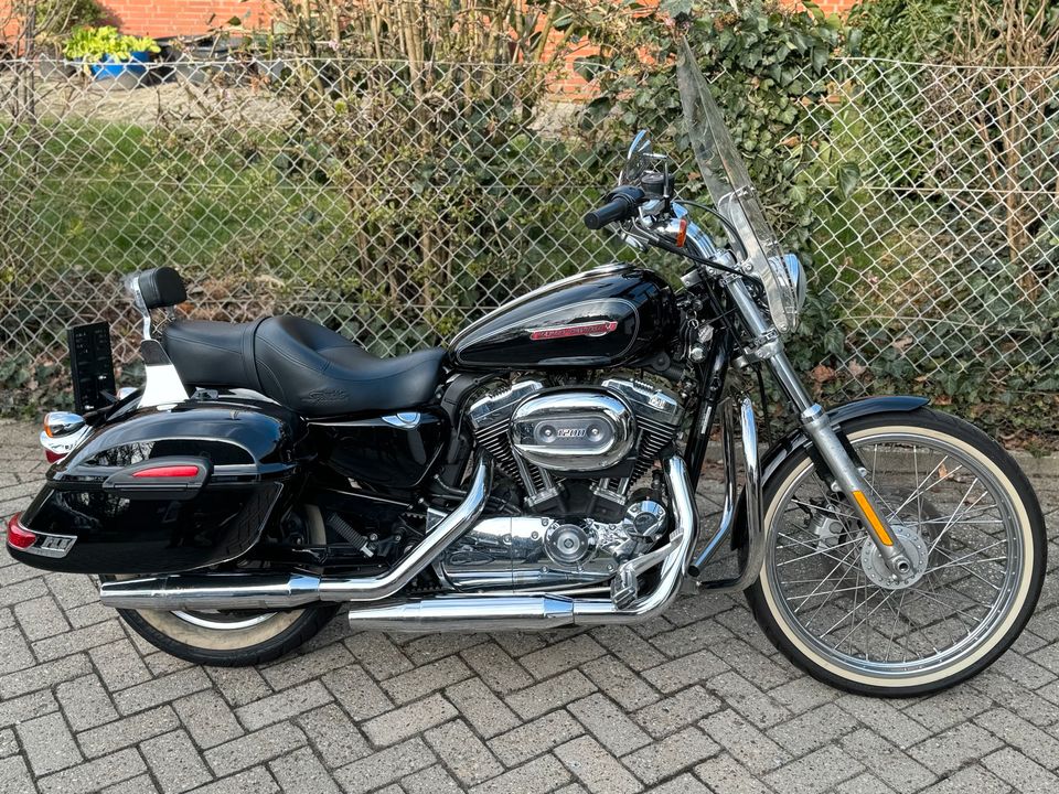 Harley-Davidson Sportster XL 1200 Custom in Neuenhaus