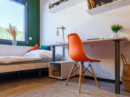 1-Zimmer Wohnung in Livus in Siegen