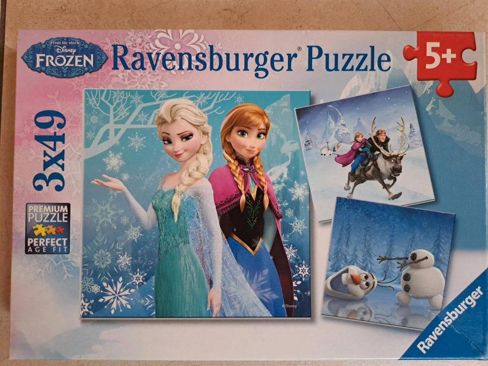 Fanset Frozen Anna Elsa Die Eiskönigin in Parkstein