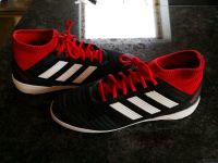 Adidas predator Sportschuhe Halle Gr. 40 1/2 Bayern - Neustadt b.Coburg Vorschau