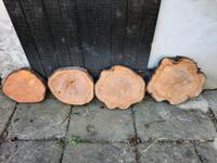 Holzscheiben Dresden - Bühlau/Weißer Hirsch Vorschau