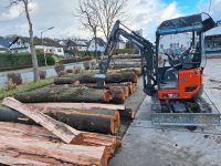 Lohnspalten Lohnsägen Brennholz Nordrhein-Westfalen - Meschede Vorschau