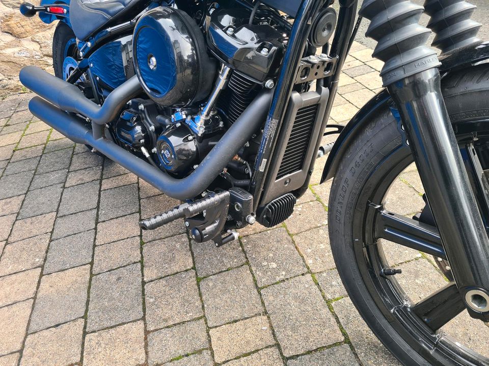 Harley-Davidson Softail Standard 107 in Dillenburg