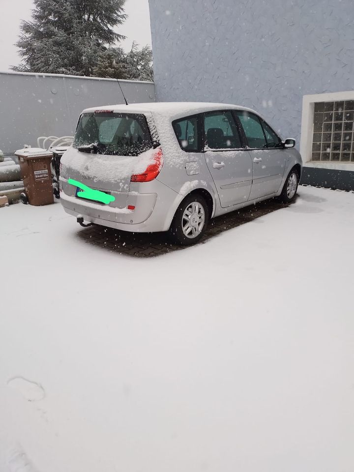 Renault Scenic in Neustadt an der Weinstraße