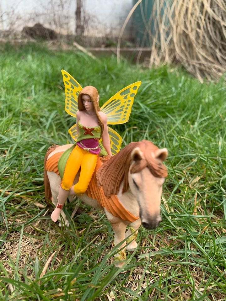 Original Schleich Regenbogenelfen in Vettweiß