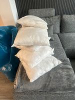 10 Füllkissen 50x50 Ikea Nordrhein-Westfalen - Mönchengladbach Vorschau