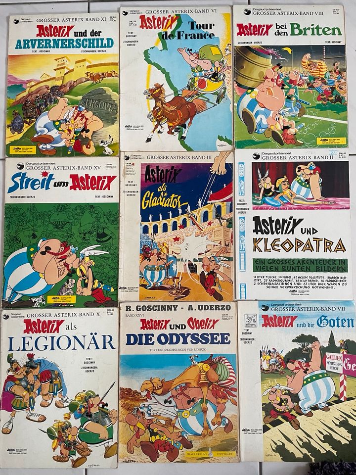 Asterix und Obelix Comics in Priestewitz