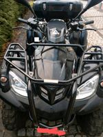 ATV Her Chee Herkules Adly 320U Sachsen-Anhalt - Harsleben Vorschau